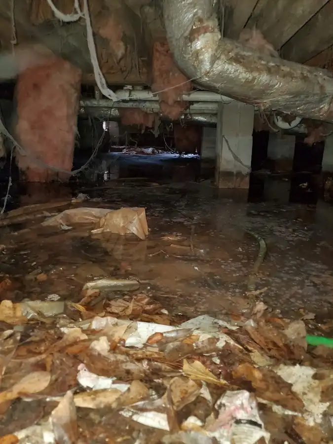 Crawl space flood assessment for Commercial Water Damage Restoration in Livingston